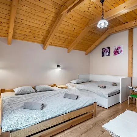 Alpesi faház Chalet Bystra - Wellness 5 Min-washer-game Room-view-5 Bedrooms Mýto pod Ďumbierom