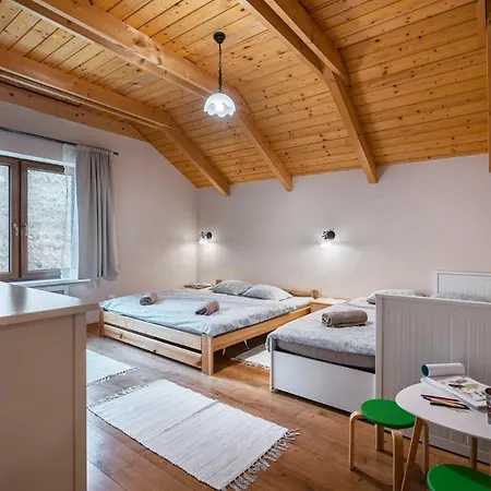 Chalet Bystra - Wellness 5 Min-washer-game Room-view-5 Bedrooms *