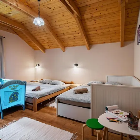 Domek alpejski Chalet Bystra - Wellness 5 Min-washer-game Room-view-5 Bedrooms *
